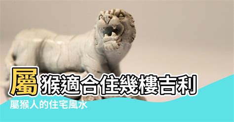 屬猴適合樓層|【屬猴適合的方位】屬猴風水大公開！揭秘最佳方位與樓層，助你。